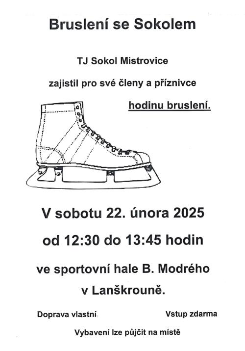 Bruslení
